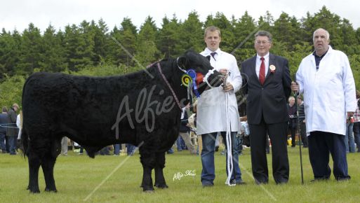 Reserve Champion Aberdeen Angus shown by Graham Parkes standing along side Judge James Foley, Sligo and Adrian Parkes